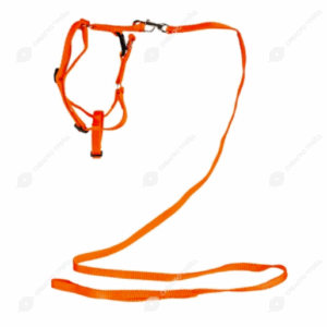 Комплект поводок + шлейка Эконом / 10мм, длина поводка 1,2м