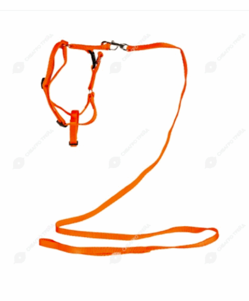 Комплект поводок + шлейка Эконом / 10мм, длина поводка 1,2м