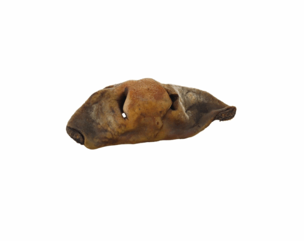 НАТУРАЛЬНОЕ ЛАКОМСТВО для собак Нос говяжий цельный / развес