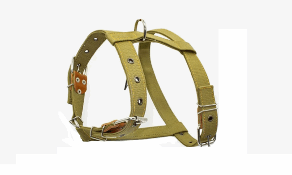 Шлейка брезентовая двухслойная с нагрудником / 25мм