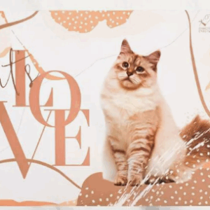 Коврик под миски Cats Love / 43х28 см