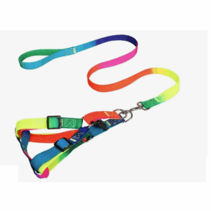 Комплект поводок + шлейка Радуга / 15мм, длина поводка 1,2м