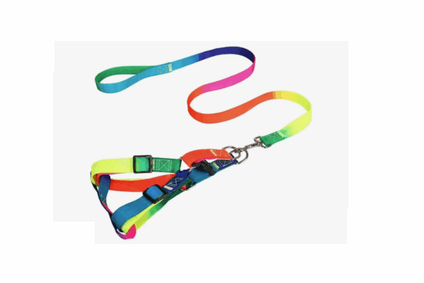 Комплект поводок + шлейка Радуга / 15мм, длина поводка 1,2м