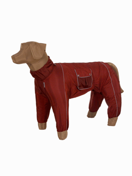 Дождевик БИГЛЬ сука