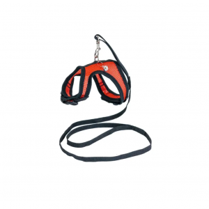 Шлейка+поводок Дарэлл-АЭРО №2 / 15-20см