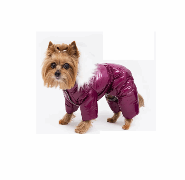 Комбинезон для собак Метелица / р. 30 сука