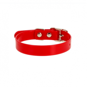 Ошейник из биотана / 12ммх24-28см