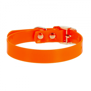 Ошейник из биотана / 12ммх24-28см