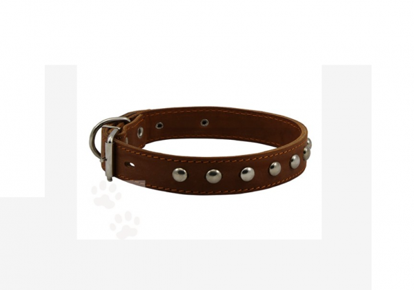 Ошейник кожаный двойной с украшением / 45ммх63-72см
