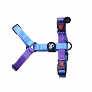 Шлейка LionPets, размер L / грудь 46-72 см, шея 38-58 см