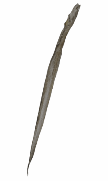 НАТУРАЛЬНЫЕ ЛАКОМСТВА для собак Сублимированный угорь / 1 шт